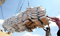 越南在菲律宾国际招标中获得30万吨大米供应权