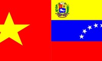 委内瑞拉外交部代表团访问越南