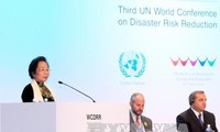 越南在世界减灾大会上分享防灾减灾经验