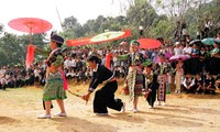 第二次赫蒙族体育文化节在太平省举行