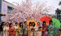 在胡志明市联合举办日本文化节