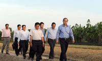 越南祖国阵线中央委员会主席阮善仁视察永隆省先进典型合作社