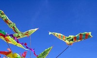 2015年国际风筝节将在巴地头顿省举行