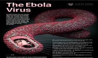 世卫组织：埃博拉疫情死亡病例超过1.1万个