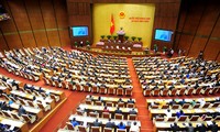 越南13届国会9次会议正式开幕