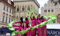 布拉格少数民族文化节：越南代表团令人印象深刻