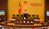 越南十三届国会九次会议进入第三周