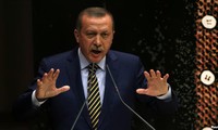 土耳其总统接受政府总辞职