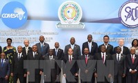 非洲25个国家成立自贸区