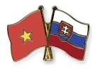 越南胡志明市希望与斯洛伐克开展多领域合作