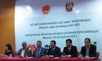 越南与莫桑比克建交40周年纪念活动在河内举行