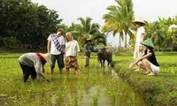 世界银行协助越南革新农业与教育