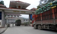 促进向中国市场出口越南农产品
