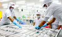 越南企业为进军欧亚经济联盟市场做好准备