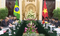 越南政府副总理兼外交部长范平明与巴西外交部长维埃拉举行会谈 