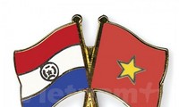 越南和巴拉圭举行建交20周年纪念活动