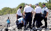 一块疑似马航MH370飞机残片在留尼汪岛被发现