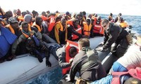 欧洲国家努力解决移民危机