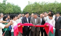 越南橡胶企业在柬埔寨有效经营
