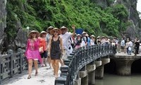 庆和省接待的中国游客增长4倍