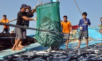 发挥渔业社在保障越南渔民权利中的作用