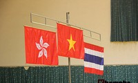 越南在2015东南亚手球比赛中取得优异成绩