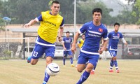 越南国家足球队排名提升