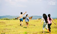 《绿地黄花》——表现越南乡村童年生活的成功之作