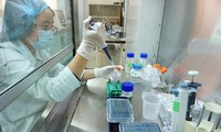 越南防治登革热新疫苗的试验结果良好