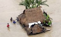 越南建设主动应对自然灾害的安全社会