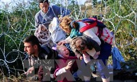 土耳其就解决移民危机提出倡议