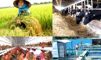 表彰100家服务农民的企业
