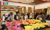 越南芒果正式打入日本市场