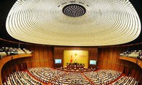 越南国会讨论一些法律草案
