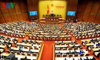 越南国会讨论和通过一些法律草案
