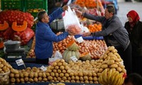 土耳其警告俄罗斯对其实施贸易制裁将影响俄农民