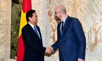 越南与比利时关系正良好发展