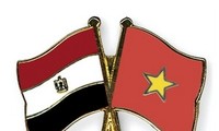 越南驻埃及大使杜黄龙向埃及总统塞西递交国书