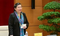 越南国家选举委员会法律与信息宣传小组举行第一次会议