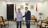 推动越印尼战略伙伴关系