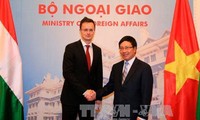 推动越南-匈牙利传统友好合作关系发展
