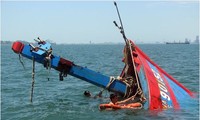 越南有关机关正就平定省渔船被撞沉事件进行核实并查明肇事者