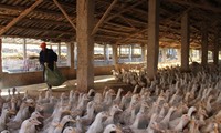 中国发现一例感染H5N1禽流感病例