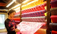 越南-亚洲丝绸文化节即将举行
