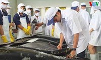 越南平定省金枪鱼在日本参加拍卖活动