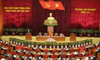越南全国人民对越共十二大取得圆满成功表示高兴