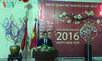 旅居各国越南人喜迎民族传统春节