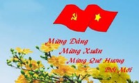 越南国内外举行庆祝越南共产党成立86周年的多项活动