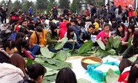 2016年丙申“绿色粽子”活动在奠边省举行