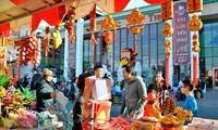旅法越南人喜迎丙申春节